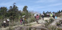 Porters with cargo on their way between two camps