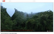In the treetops of Papua New Guinea - YouTube.